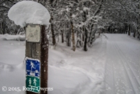 Anchorage Ski Trails Photo
