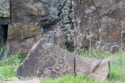 Petroglyph Display Columbia Gorge