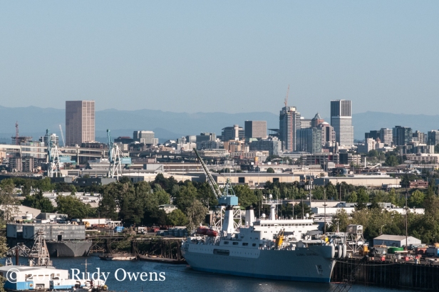 Swan Island and Downtown Portland Photo