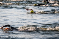 Open Water Swimmers Compete at Lake Meridian