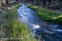 Paulina Creek in Deschutes National Forest
