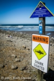 Shark warning sign at Seaside, August 2017