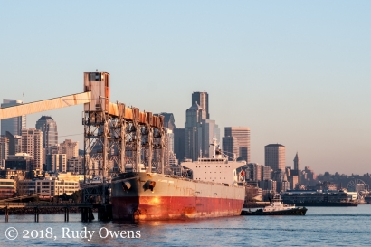 A grain cargo ship at the Port of Seattle