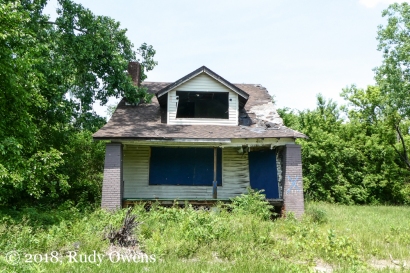 House Going Wild Central Detroit (6-2018)