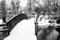 Westmoreland Park Winter Scene February 2021